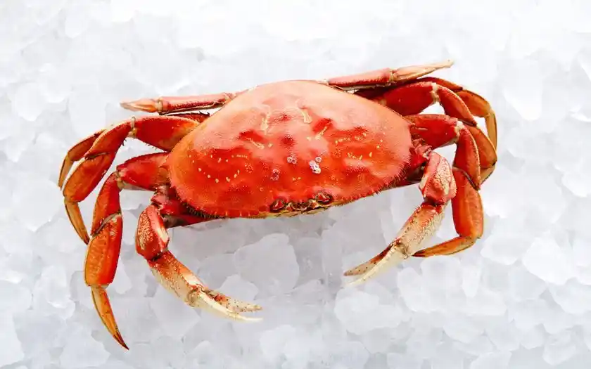 Top 10 Largest Crabs in The World